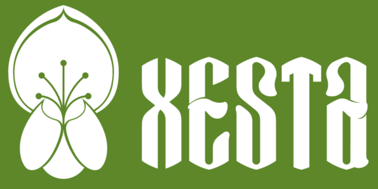 Slide logo verde xesta